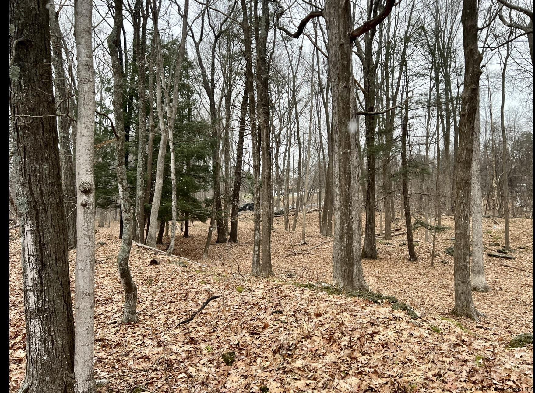 Tbd Dedrick Road Catskill, NY 12414 - Photo 8 of 14 a view of a backyard of the house
