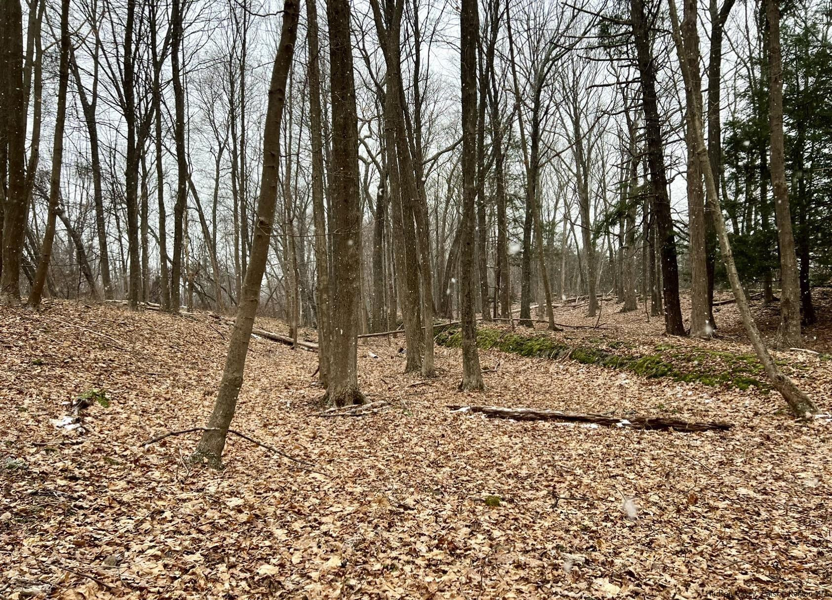 Tbd Dedrick Road Catskill, NY 12414 - Photo 9 of 14 a backyard of a house with lots of green space