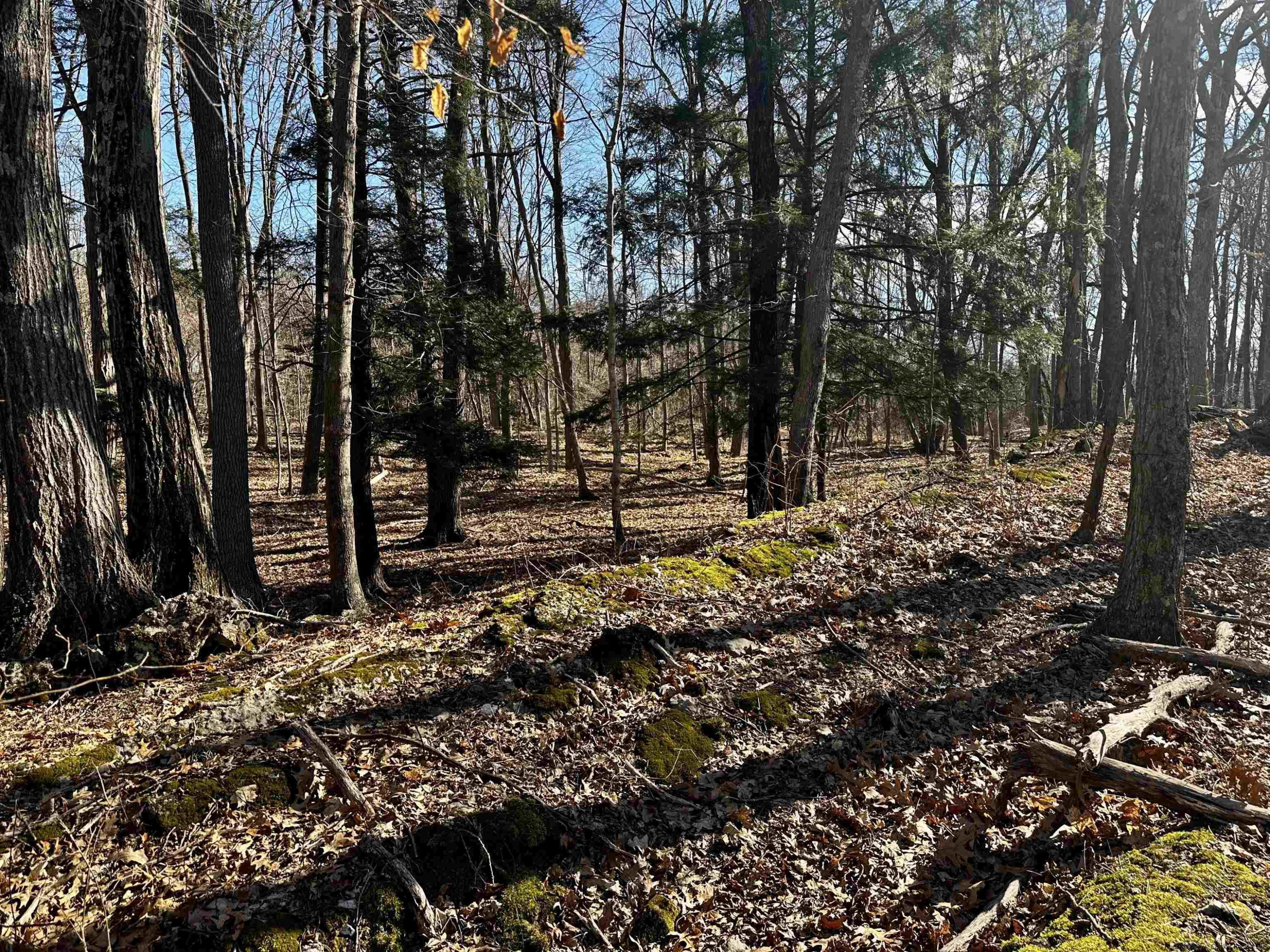 Tbd Dedrick Road Catskill, NY 12414 - Photo 10 of 14 a view of outdoor space with deck and trees
