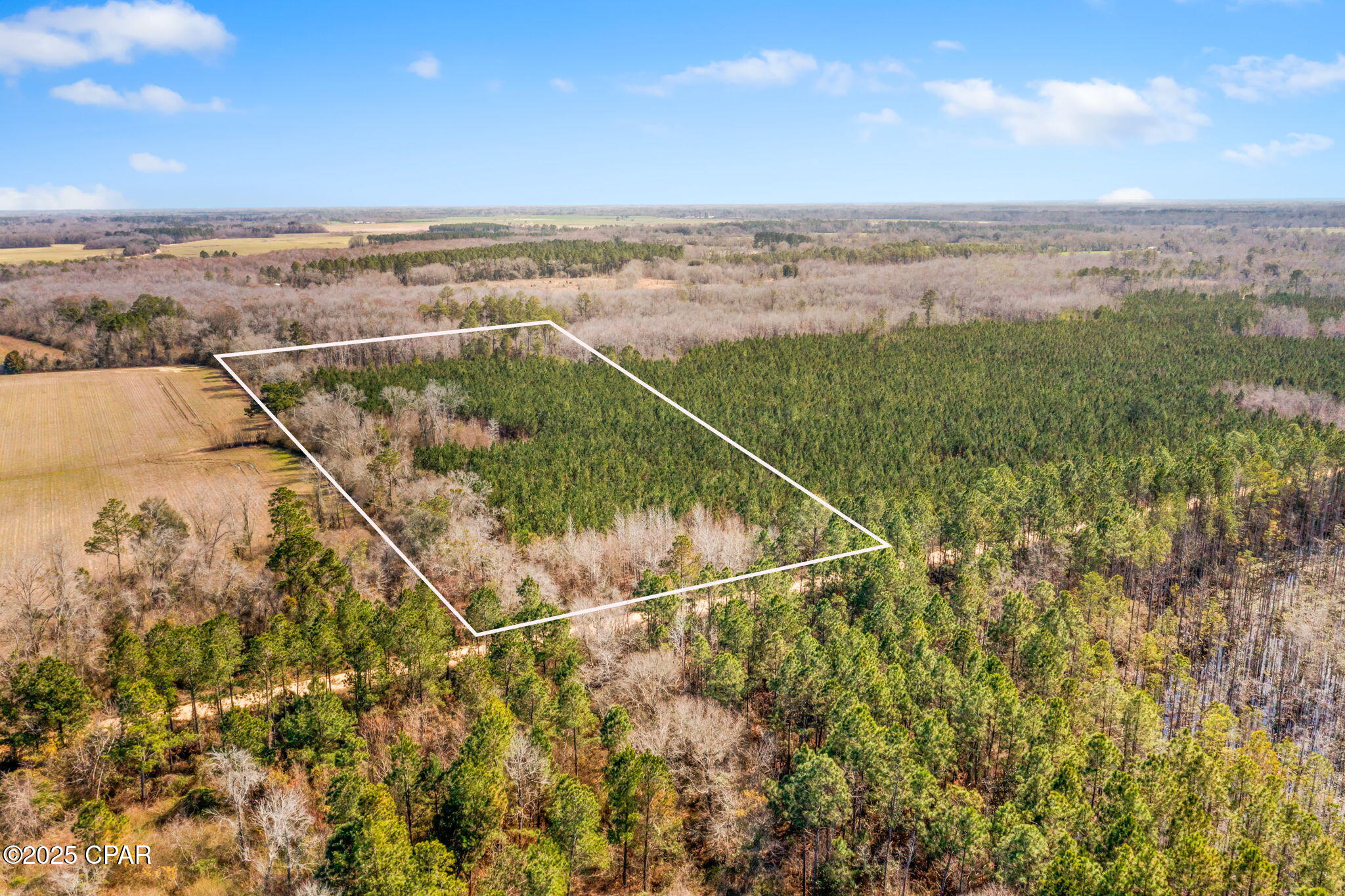 Lot 1 New Prospect Road Chipley, FL 32428 - Photo 1 of 19