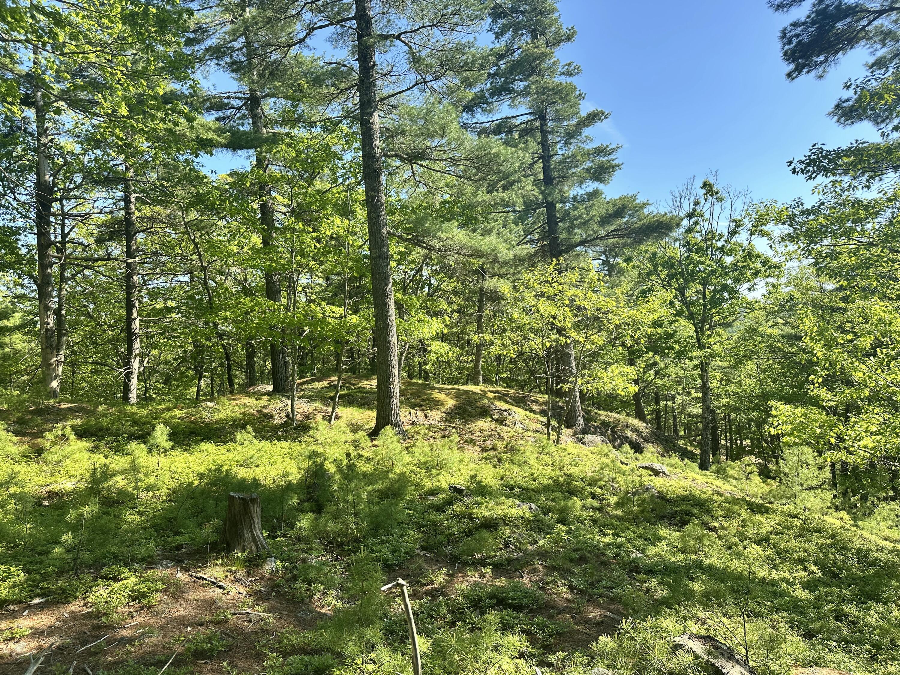 Lot 1 Oak Ridge Lane Camden, ME 04843 - Photo 5 of 27 IMG_3880