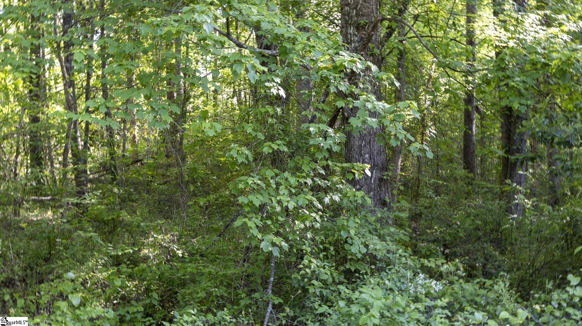 0 Botany Slopes Road Piedmont, SC 29673 - Photo 10 of 44