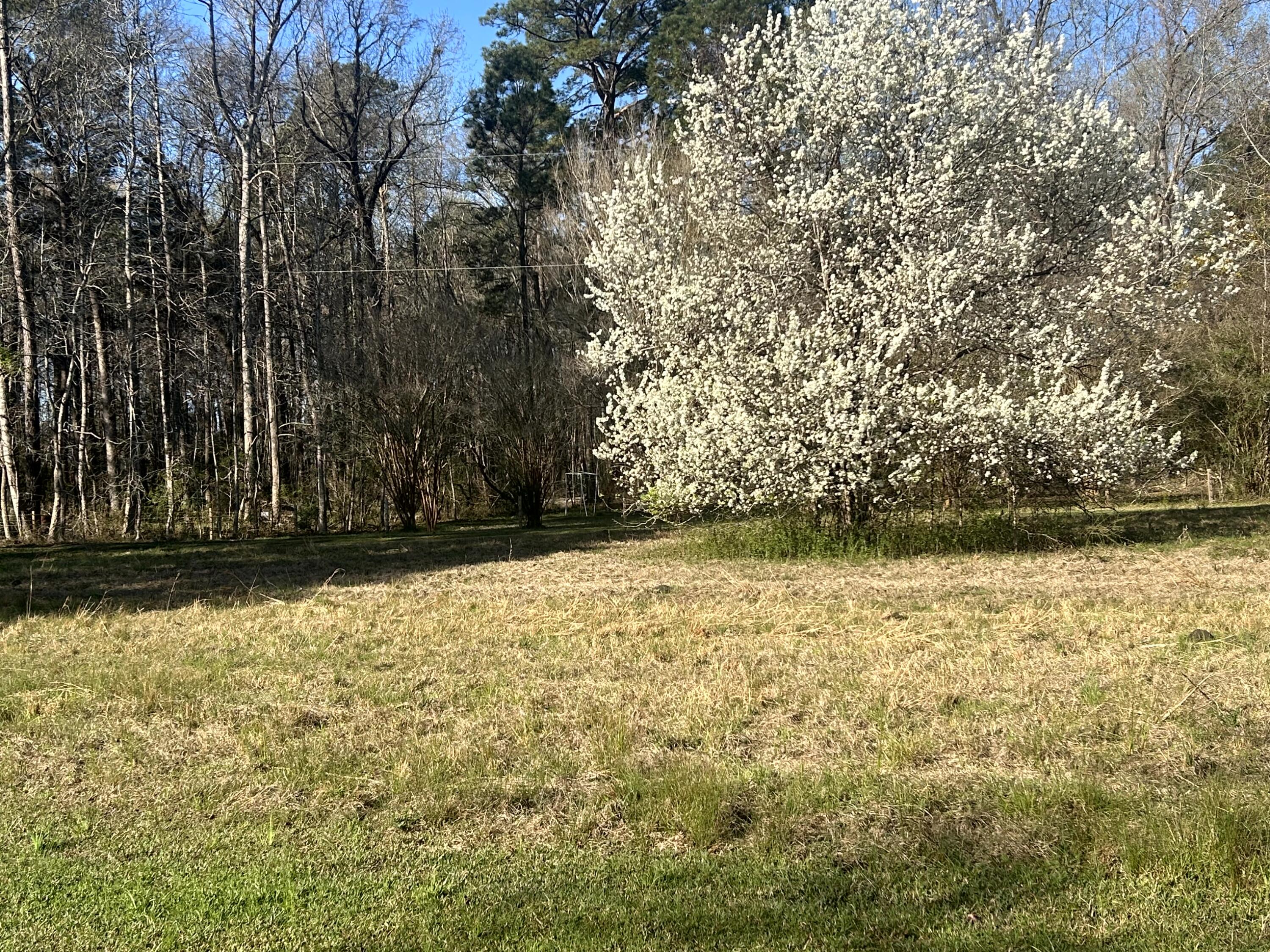 5933 Dixie Plantation Road Hollywood, SC 29449 - Photo 22 of 61 IMG_4399