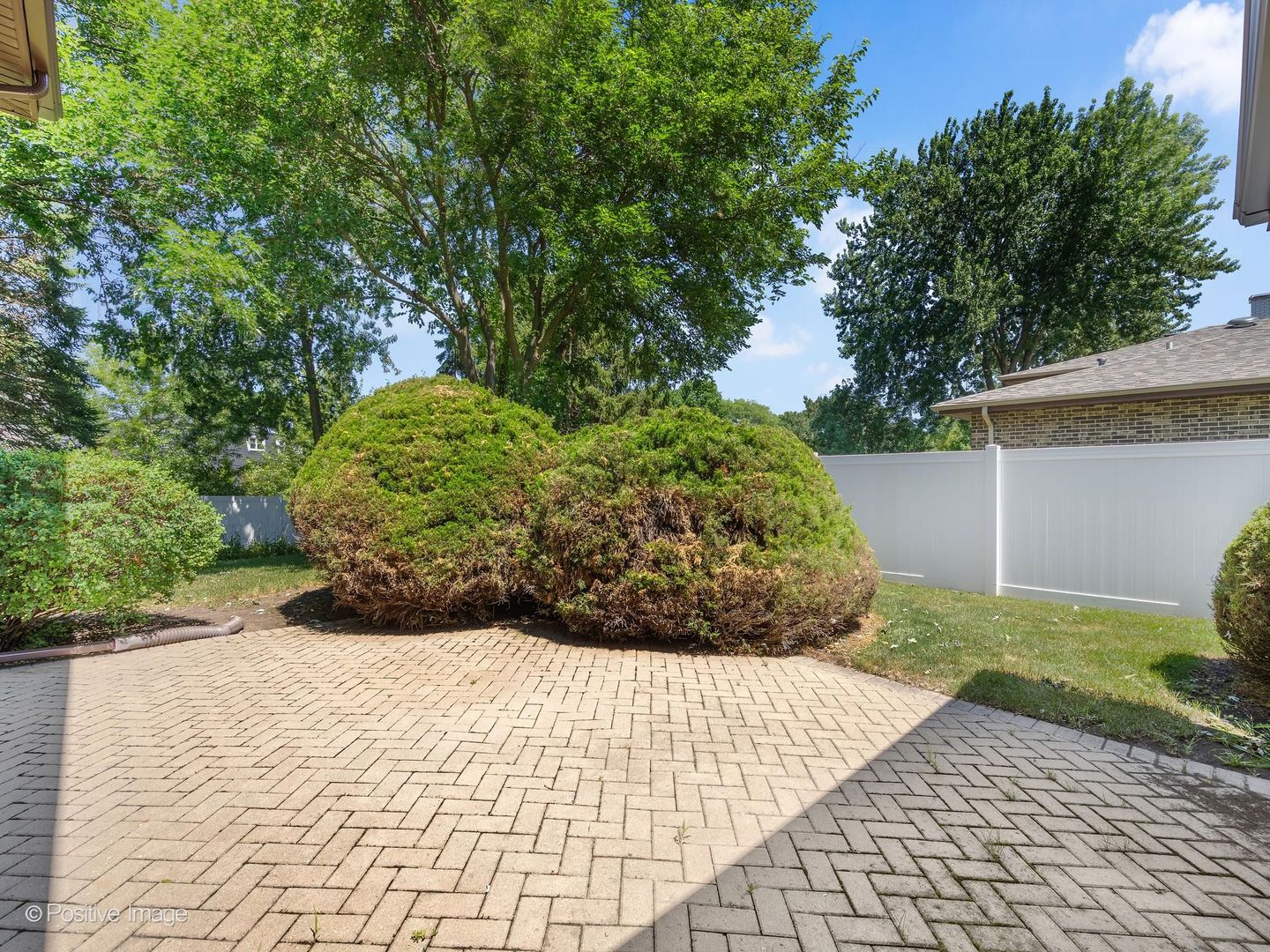 1642 Clemens Road Darien, IL 60561 - Photo 24 of 31