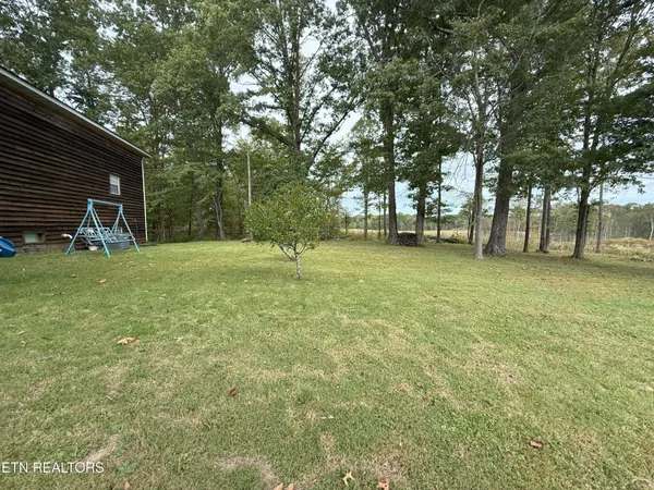 a view of a tree in a yard