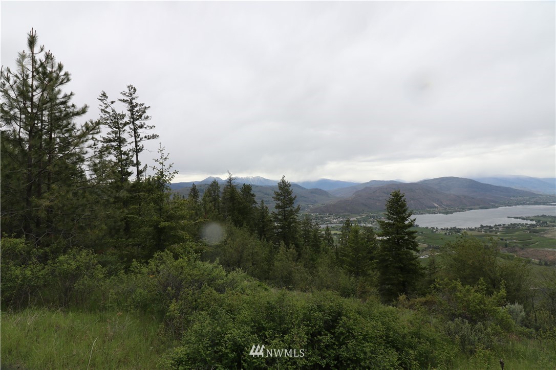 200-xxx Gold Rush Ridge Road Oroville, WA 98844 - Photo 1 of 12 Gallery Image 1