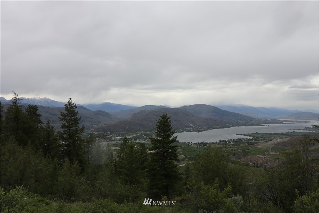 200-xxx Gold Rush Ridge Road Oroville, WA 98844 - Photo 2 of 12 Gallery Image 2