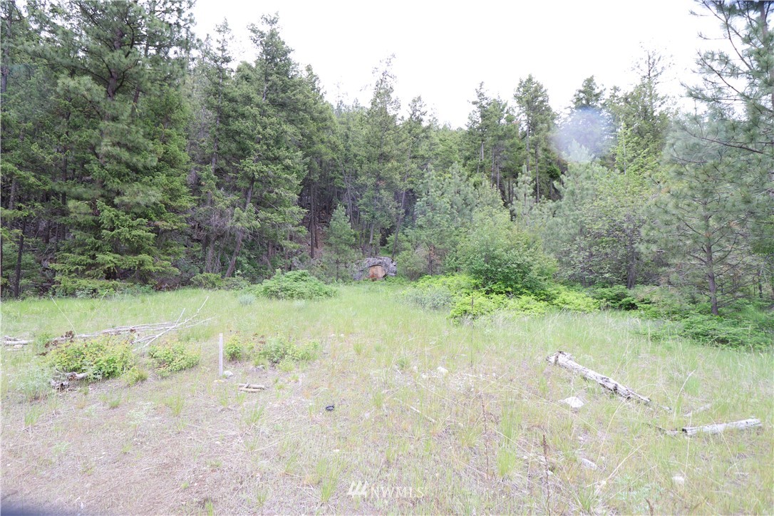 200-xxx Gold Rush Ridge Road Oroville, WA 98844 - Photo 11 of 12 Gallery Image 11