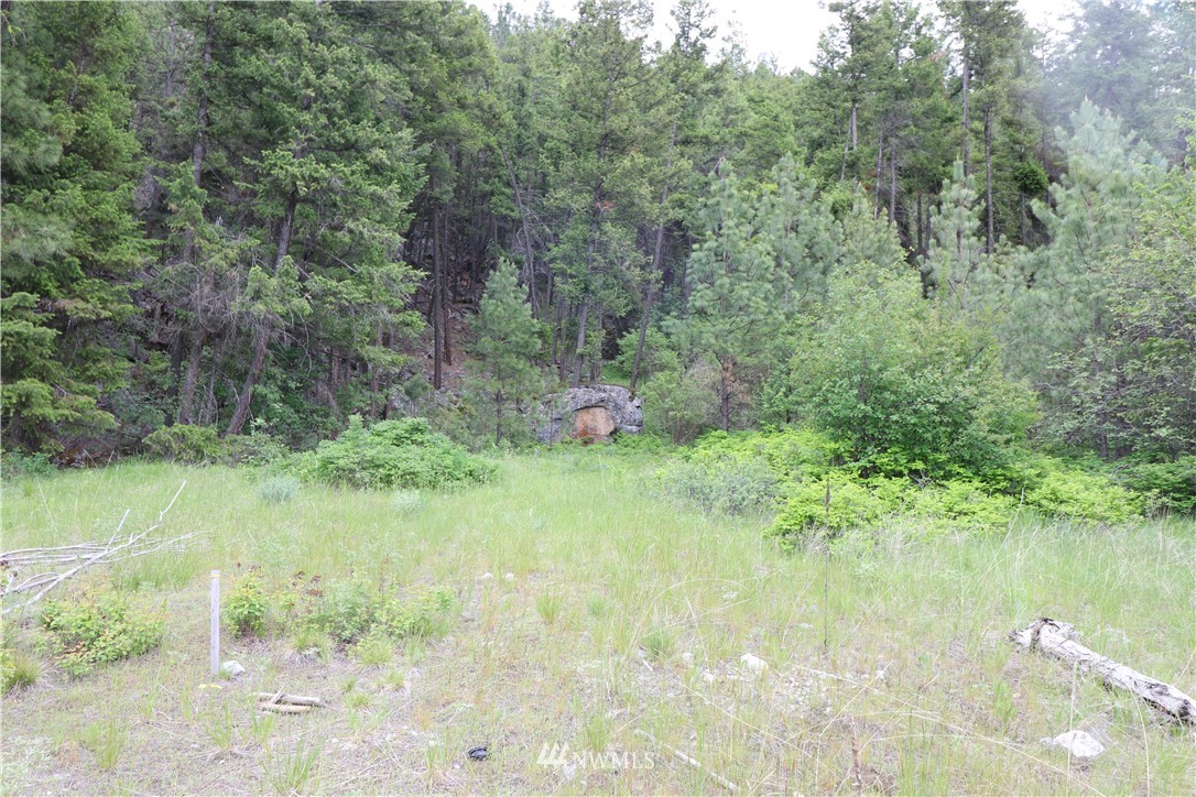 200-xxx Gold Rush Ridge Road Oroville, WA 98844 - Photo 12 of 12 Gallery Image 12