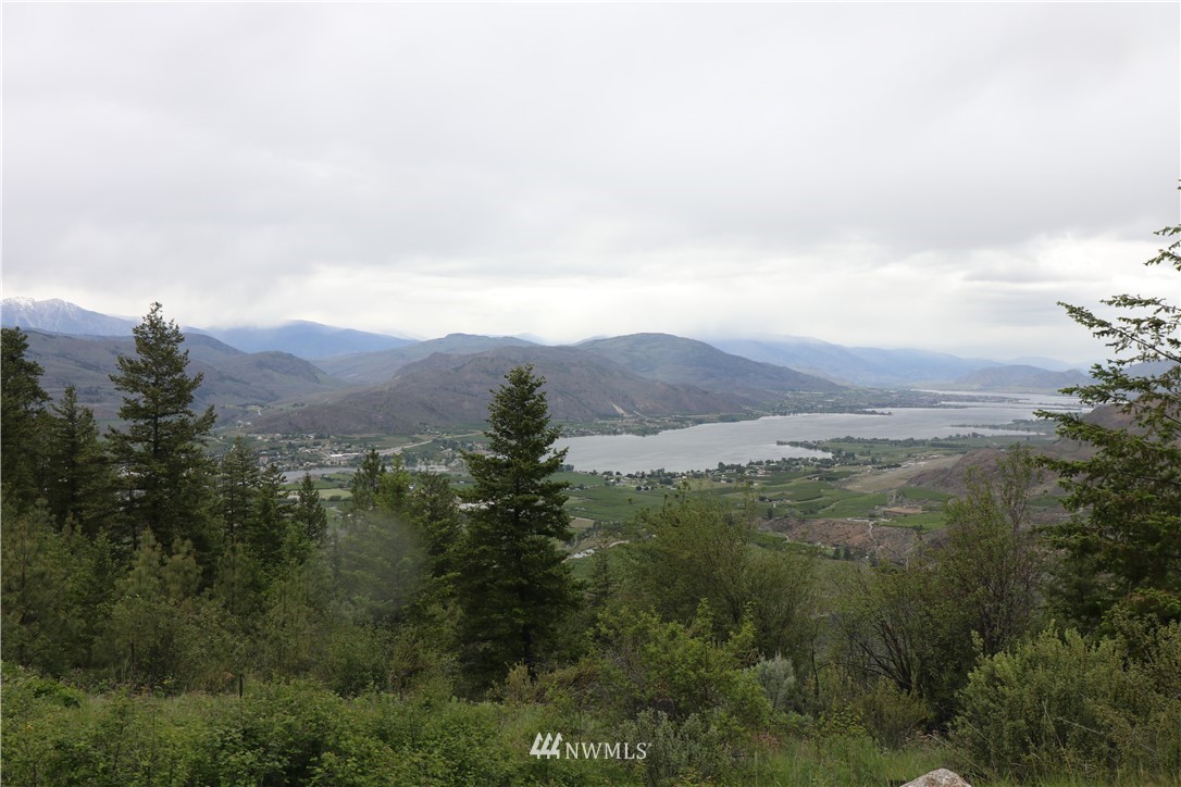 200-xxx Gold Rush Ridge Road Oroville, WA 98844 - Photo 3 of 12 Gallery Image 3