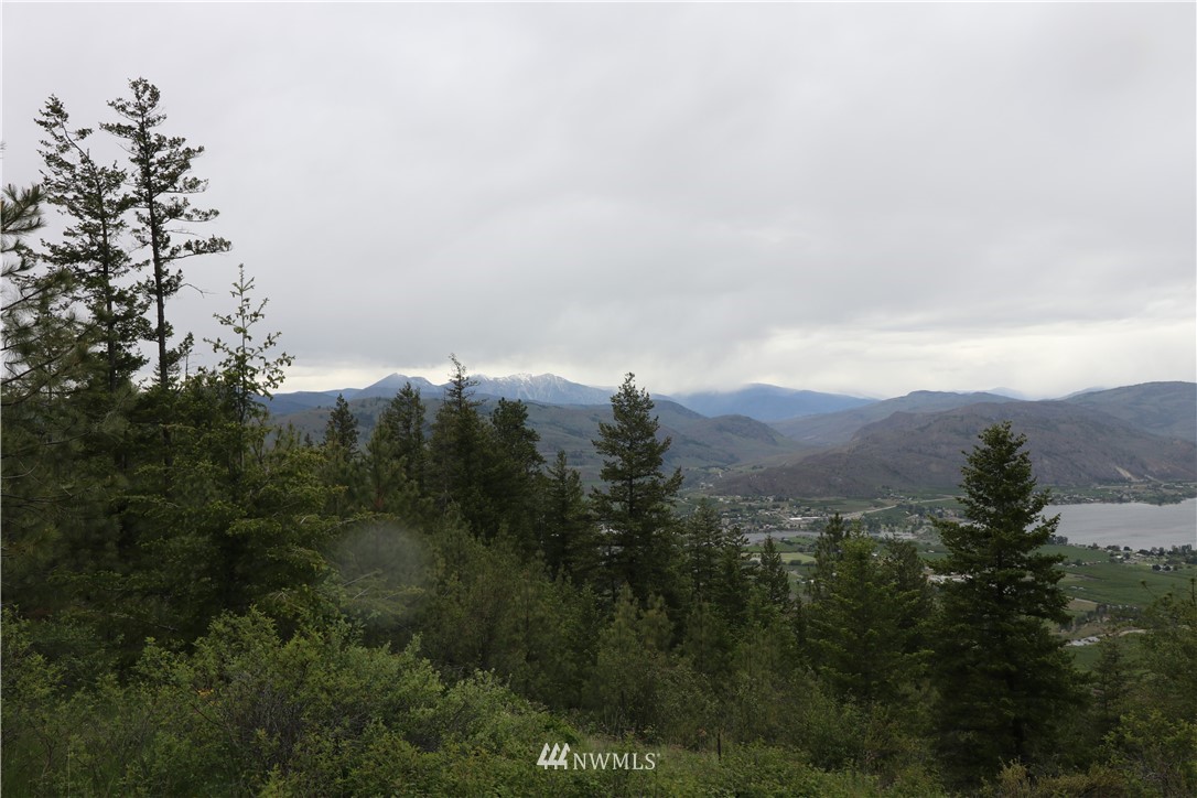 200-xxx Gold Rush Ridge Road Oroville, WA 98844 - Photo 4 of 12 Gallery Image 4