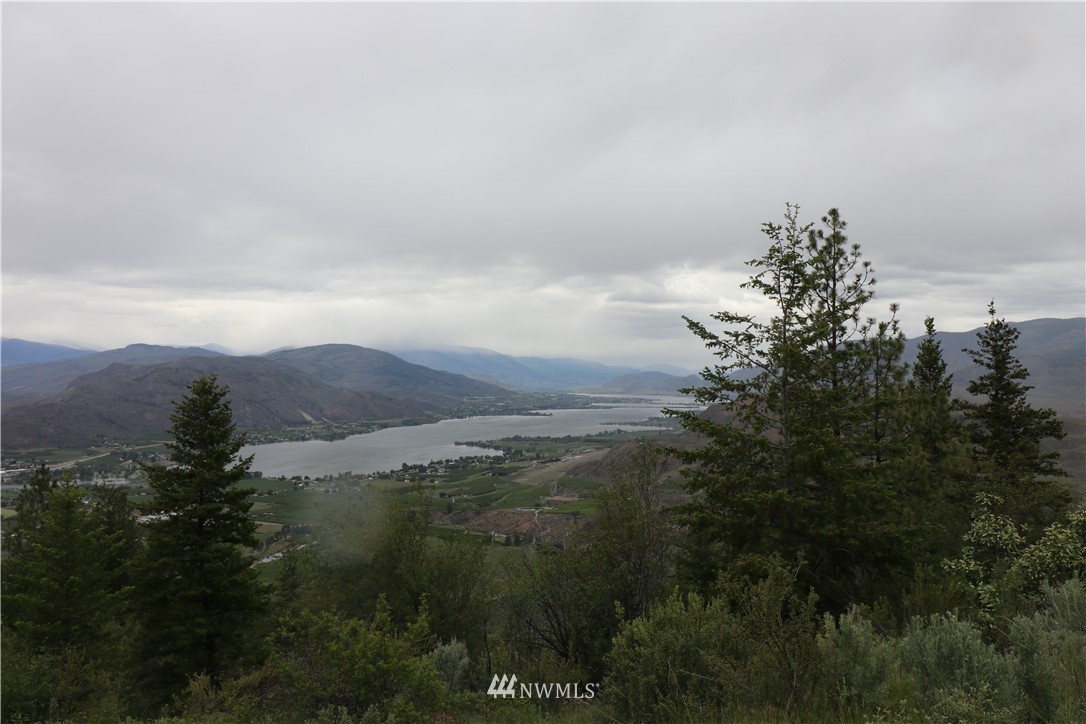 200-xxx Gold Rush Ridge Road Oroville, WA 98844 - Photo 5 of 12 Gallery Image 5