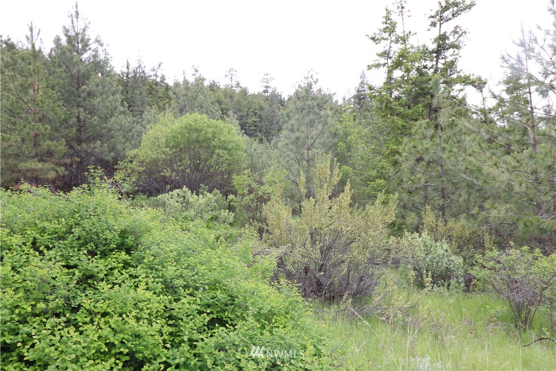 200-xxx Gold Rush Ridge Road Oroville, WA 98844 - Photo 6 of 12 Gallery Image 6