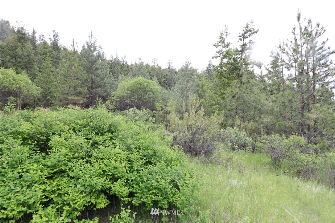 200-xxx Gold Rush Ridge Road Oroville, WA 98844 - Photo 7 of 12 Gallery Image 7
