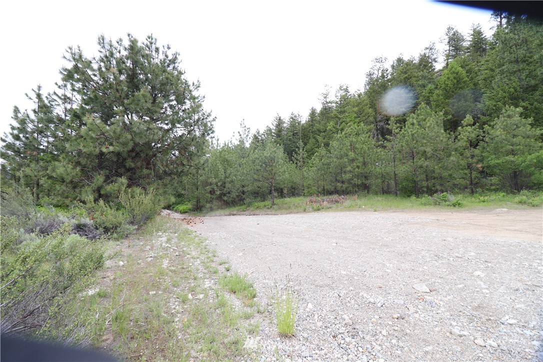 200-xxx Gold Rush Ridge Road Oroville, WA 98844 - Photo 8 of 12 Gallery Image 8