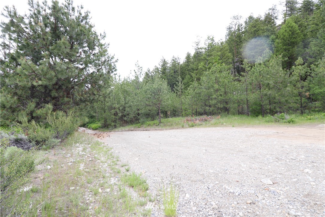 200-xxx Gold Rush Ridge Road Oroville, WA 98844 - Photo 9 of 12 Gallery Image 9