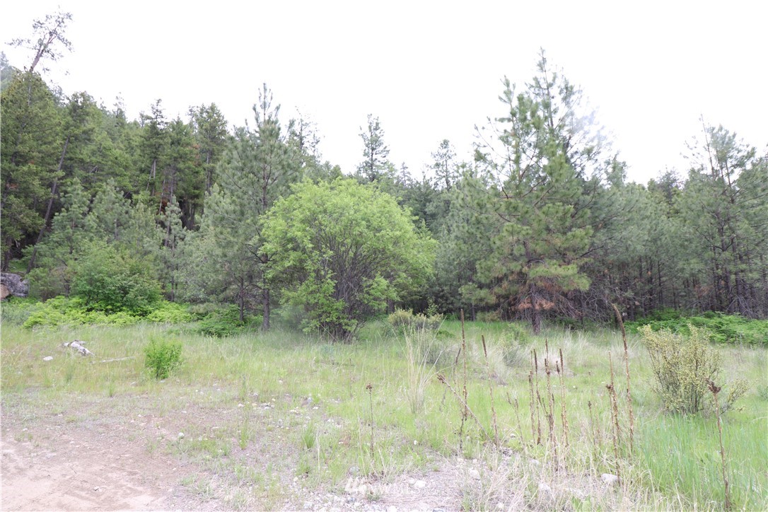 200-xxx Gold Rush Ridge Road Oroville, WA 98844 - Photo 10 of 12 Gallery Image 10