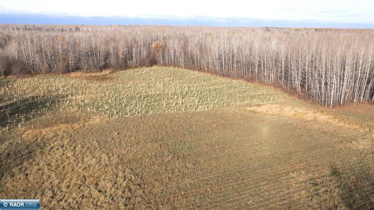 11680 Co Road Orr, MN 55771 - Photo 5 of 23