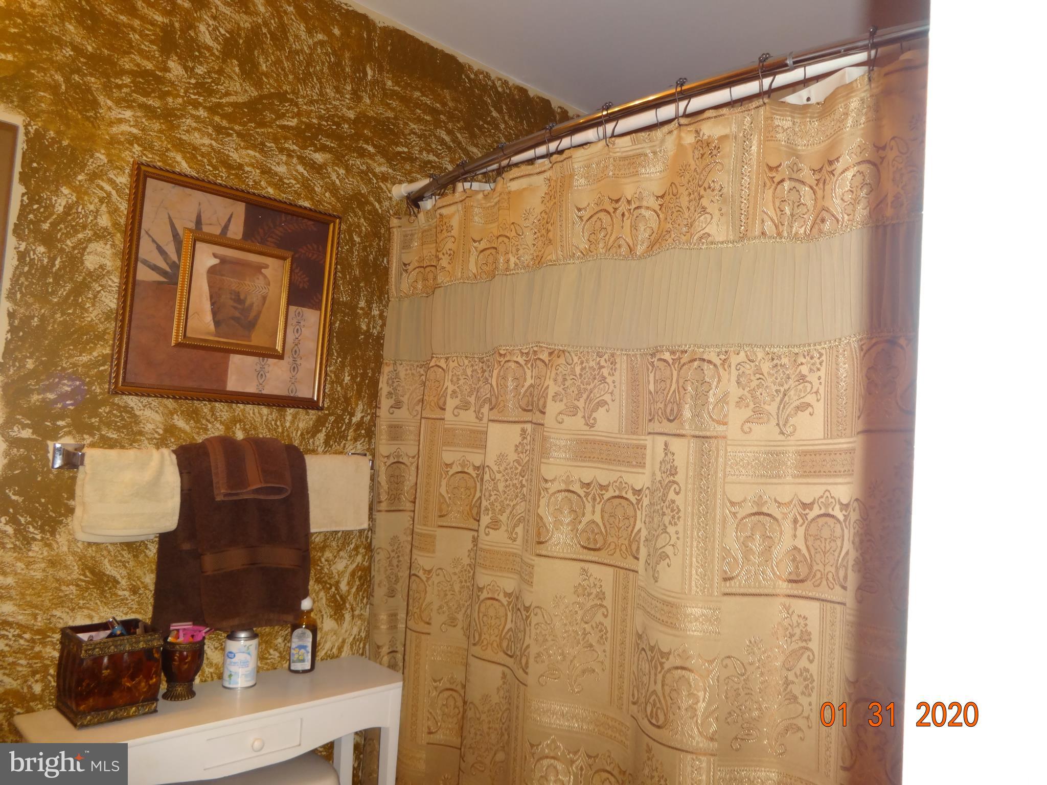 8757 Ritchboro Road District Heights, MD 20747 - Photo 22 of 30 Master Bath w/Custom Painted Wall