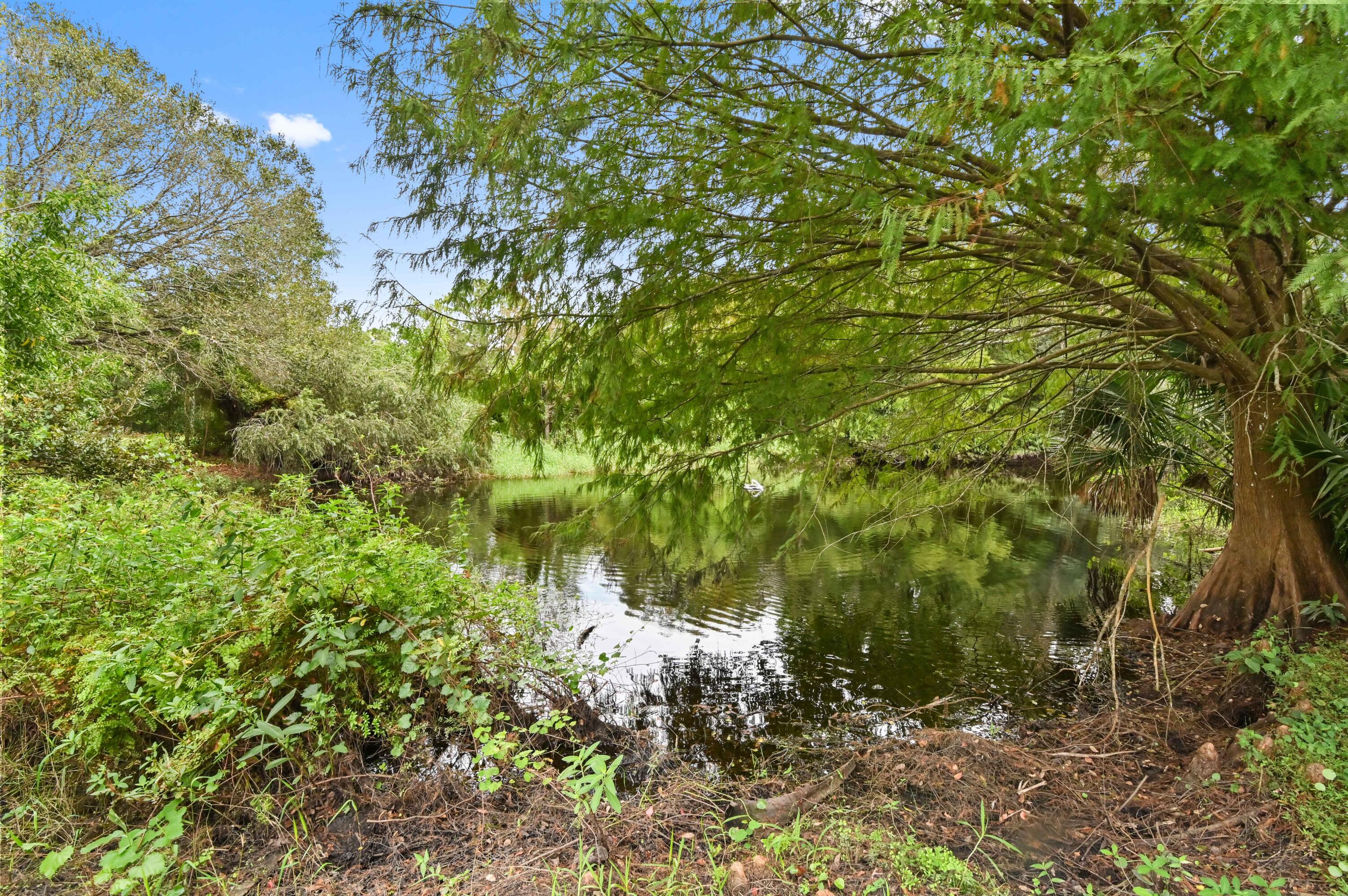 3208 A Road Loxahatchee Groves, FL 33470 - Photo 36 of 51 a view of a tree in a yard