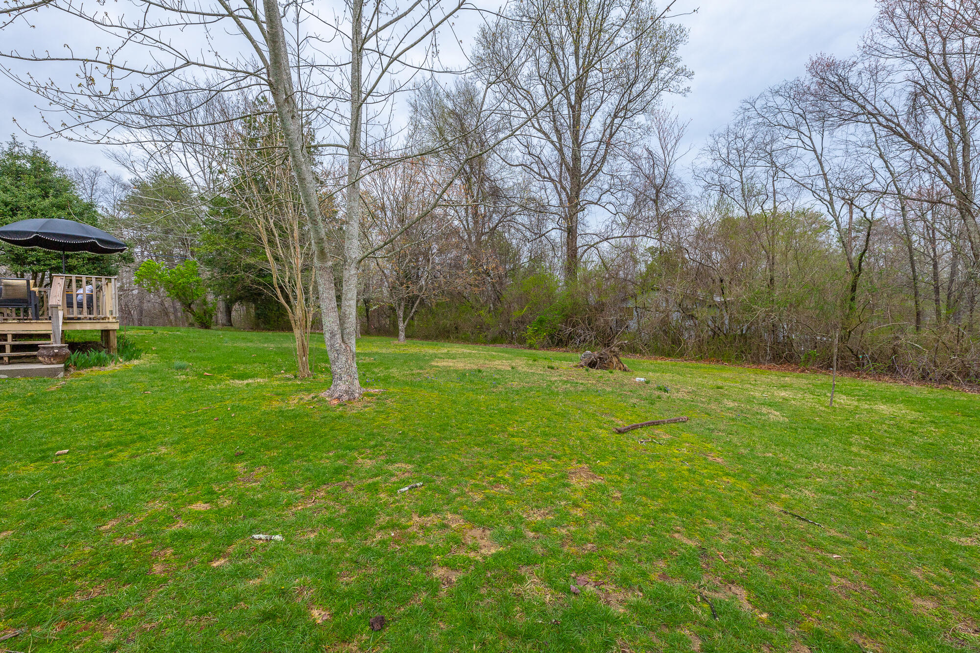 2440 Corral Road Signal Mountain, TN 37377 - Photo 60 of 63 2440 Corral Rd. HD-36