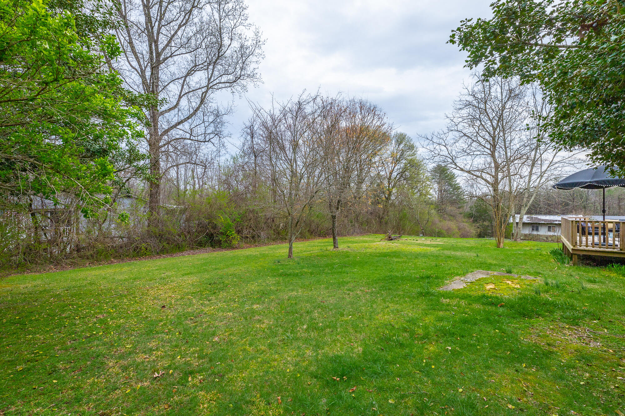 2440 Corral Road Signal Mountain, TN 37377 - Photo 63 of 63 2440 Corral Rd. HD-43