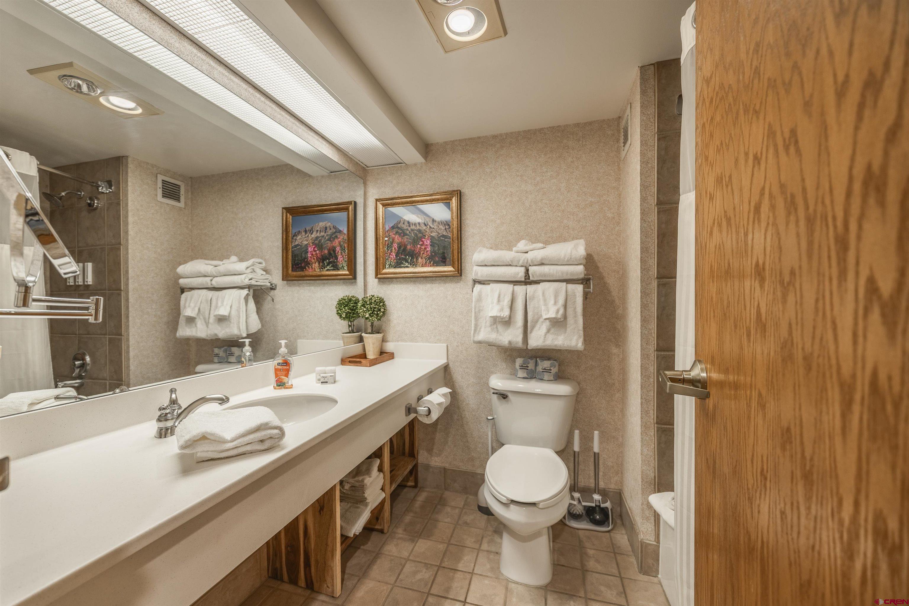 6 Emmons Road, Unit 553 Crested Butte, CO 81225 - Photo 11 of 27 a bathroom with a sink a toilet and mirror