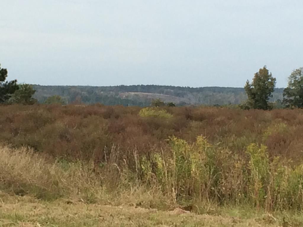 0 Co Road Abbeville, AL 36310 - Photo 1 of 1