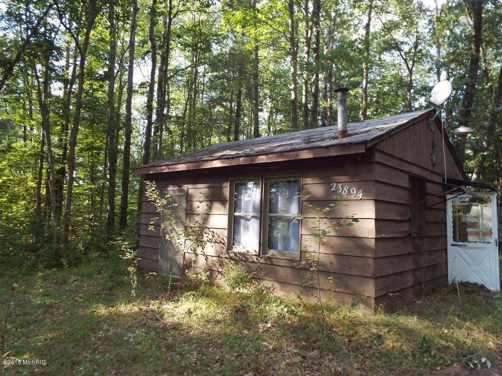 23894 2 Mile Road Newaygo, MI 49337 - Photo 10 of 10 South side of home