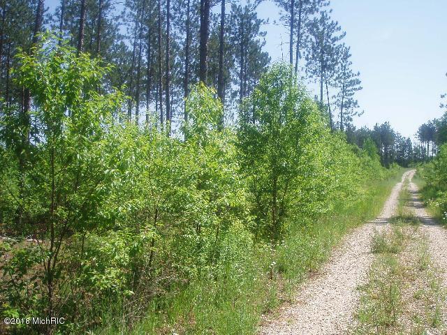 Harlan Road, Unit B Thompsonville, MI 49683 - Photo 2 of 6