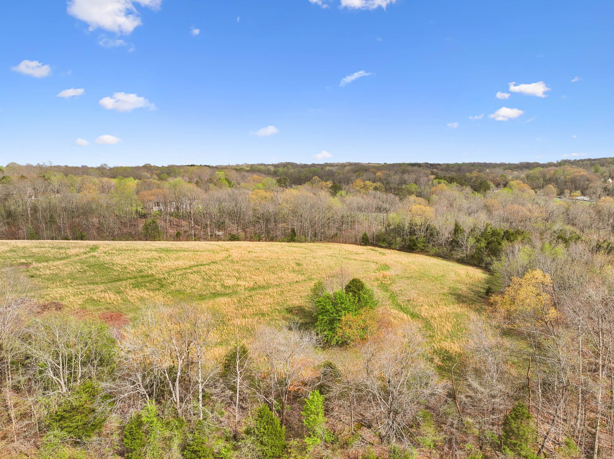 0 Liberty Road Fairview, TN 37062 - Photo 2 of 13 a view of lake and mountain