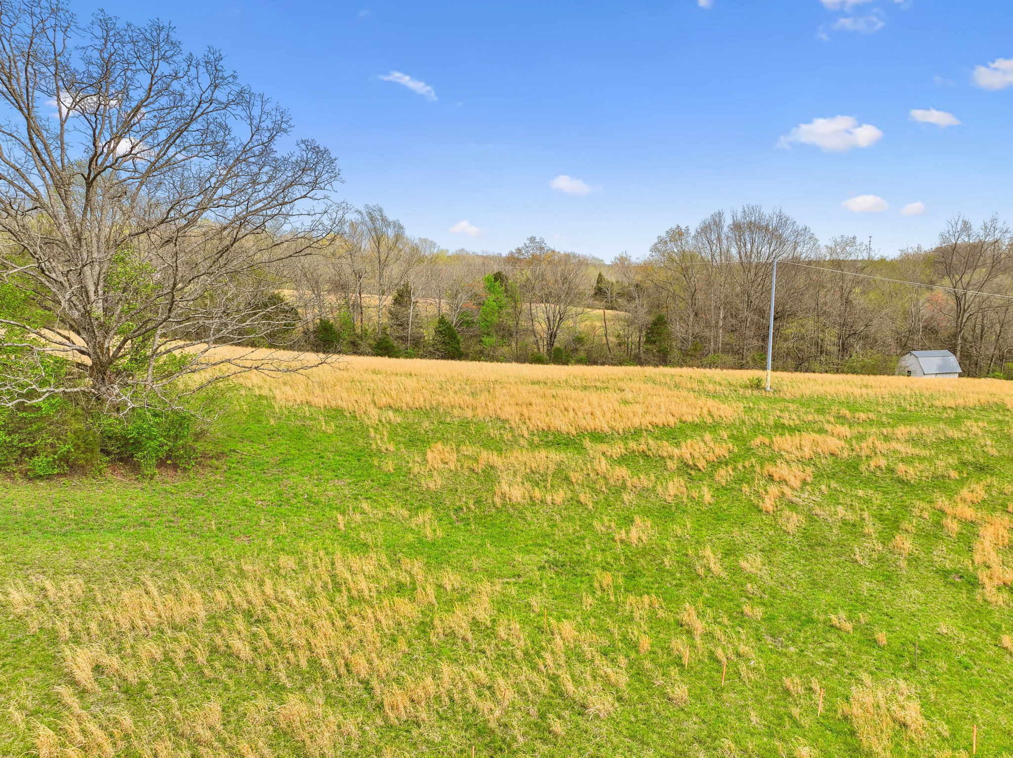 0 Liberty Road Fairview, TN 37062 - Photo 4 of 13 a view of an outdoor space and a yard