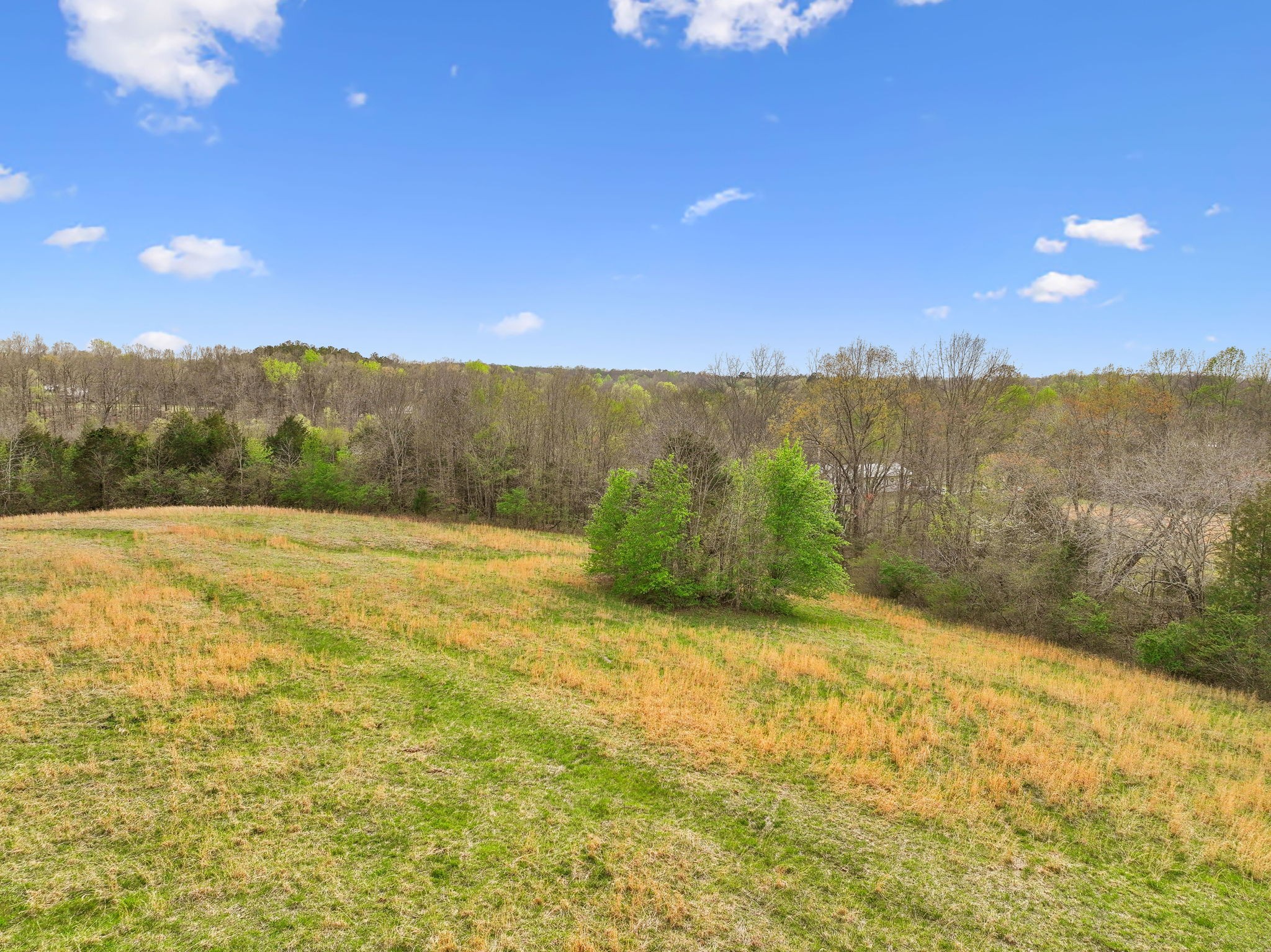 0 Liberty Road Fairview, TN 37062 - Photo 9 of 13 a view of an outdoor space and mountains
