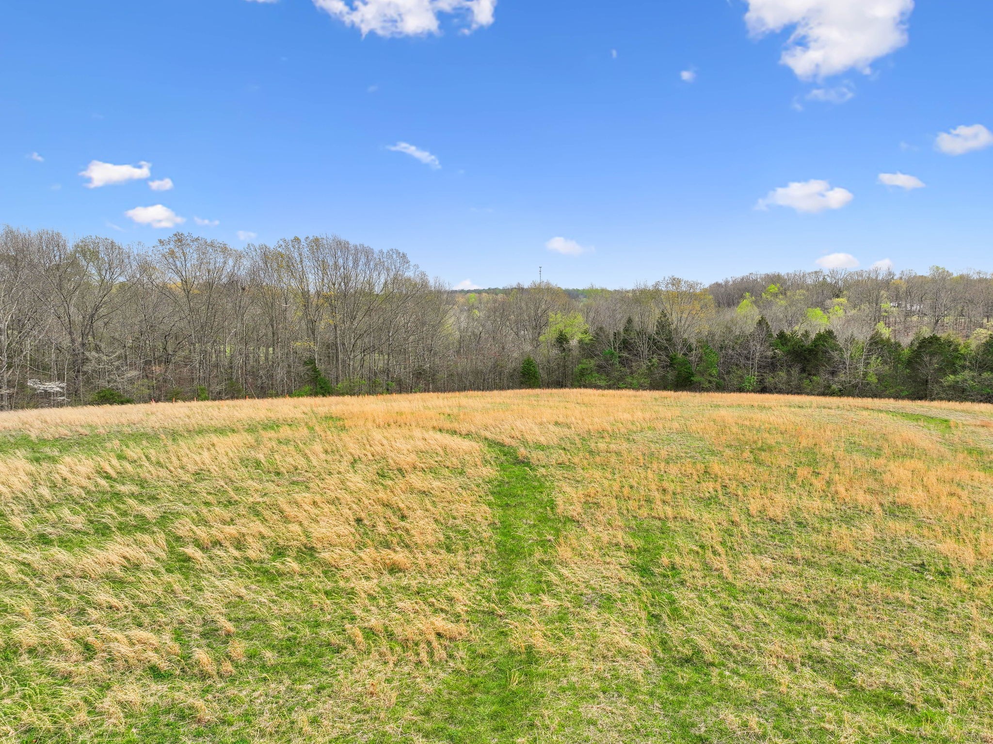 0 Liberty Road Fairview, TN 37062 - Photo 10 of 13 a view of an outdoor space and a yard