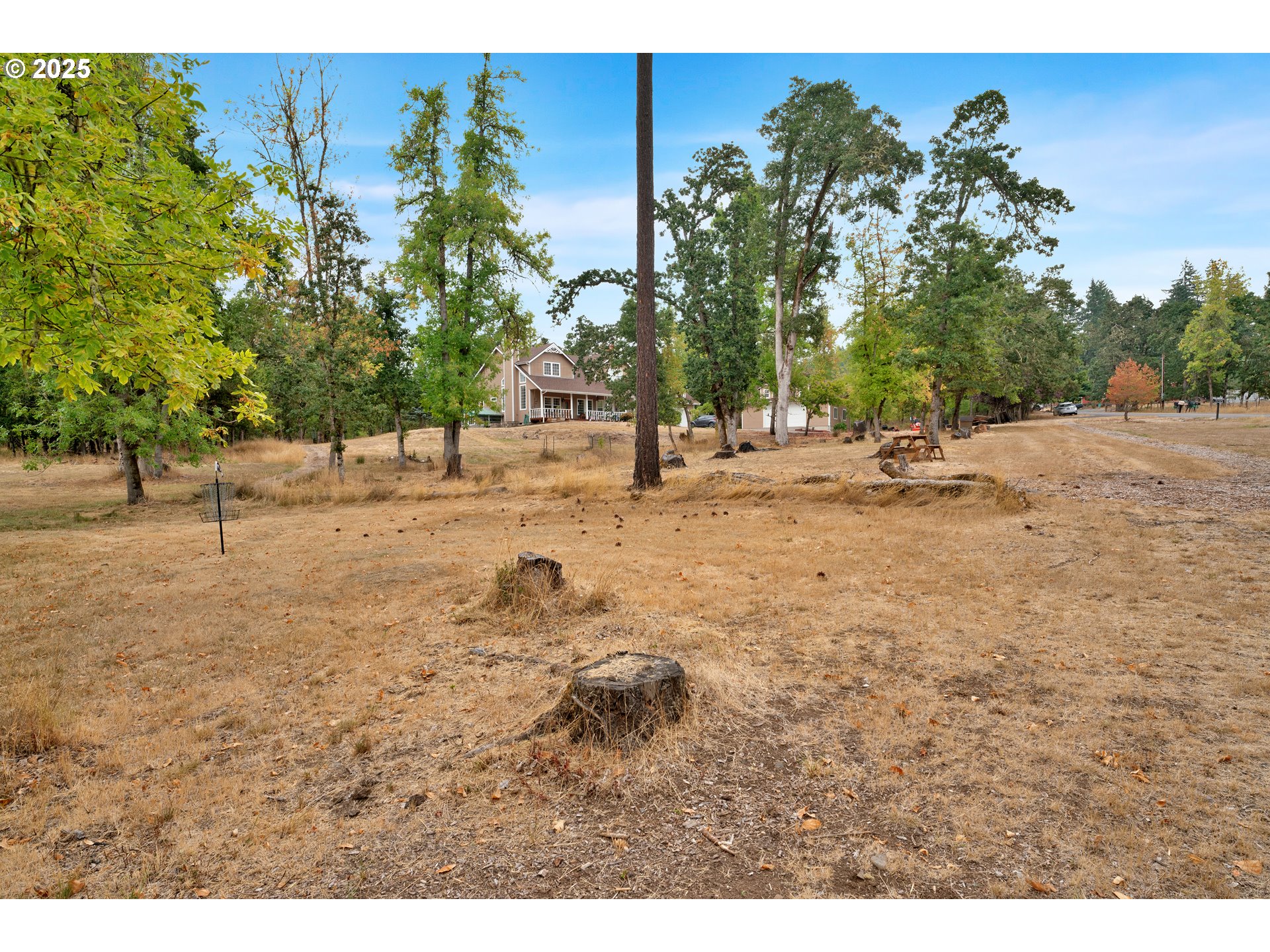 33530 Molitor Ranch Road Cottage Grove, OR 97424 - Photo 29 of 40 a row of trees with a yard