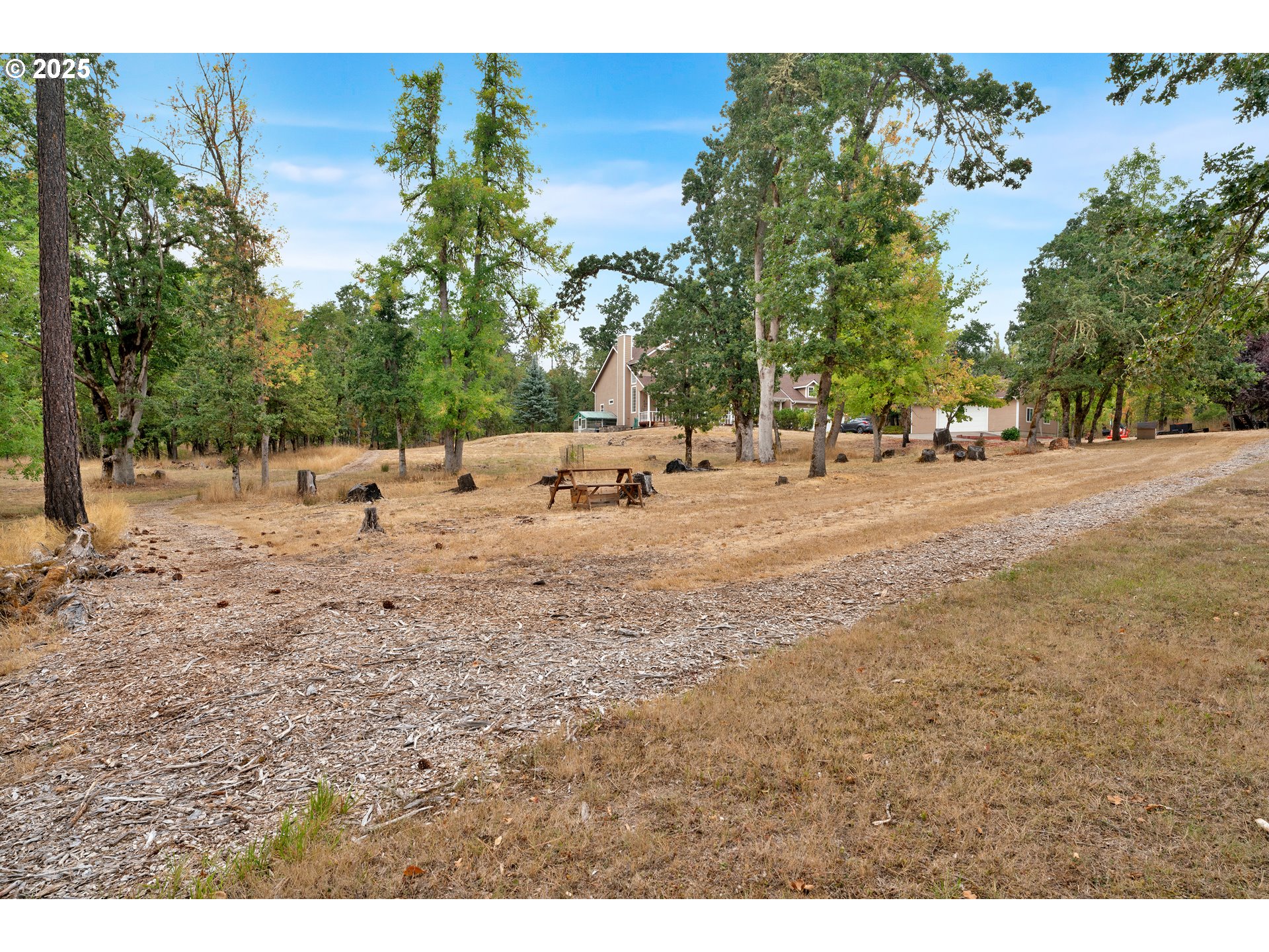 33530 Molitor Ranch Road Cottage Grove, OR 97424 - Photo 30 of 40 a row of beach with large trees and outdoor seating
