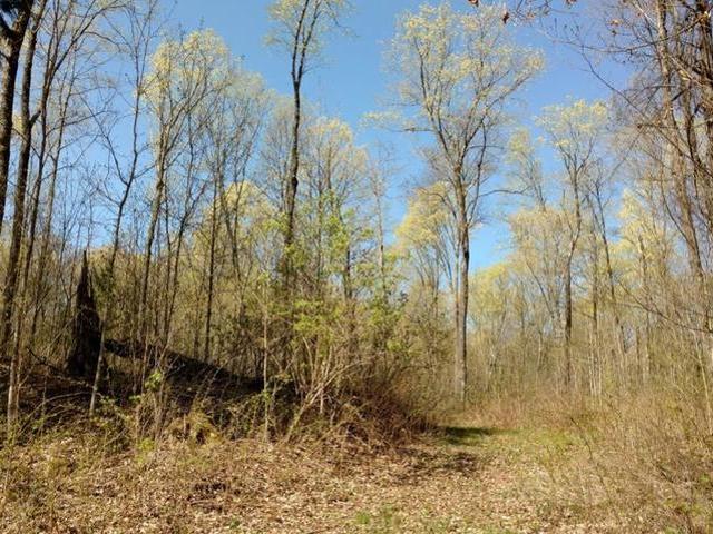 On Power Line Road Phillips, WI 54555 - Photo 13 of 20 Gallery Image 13