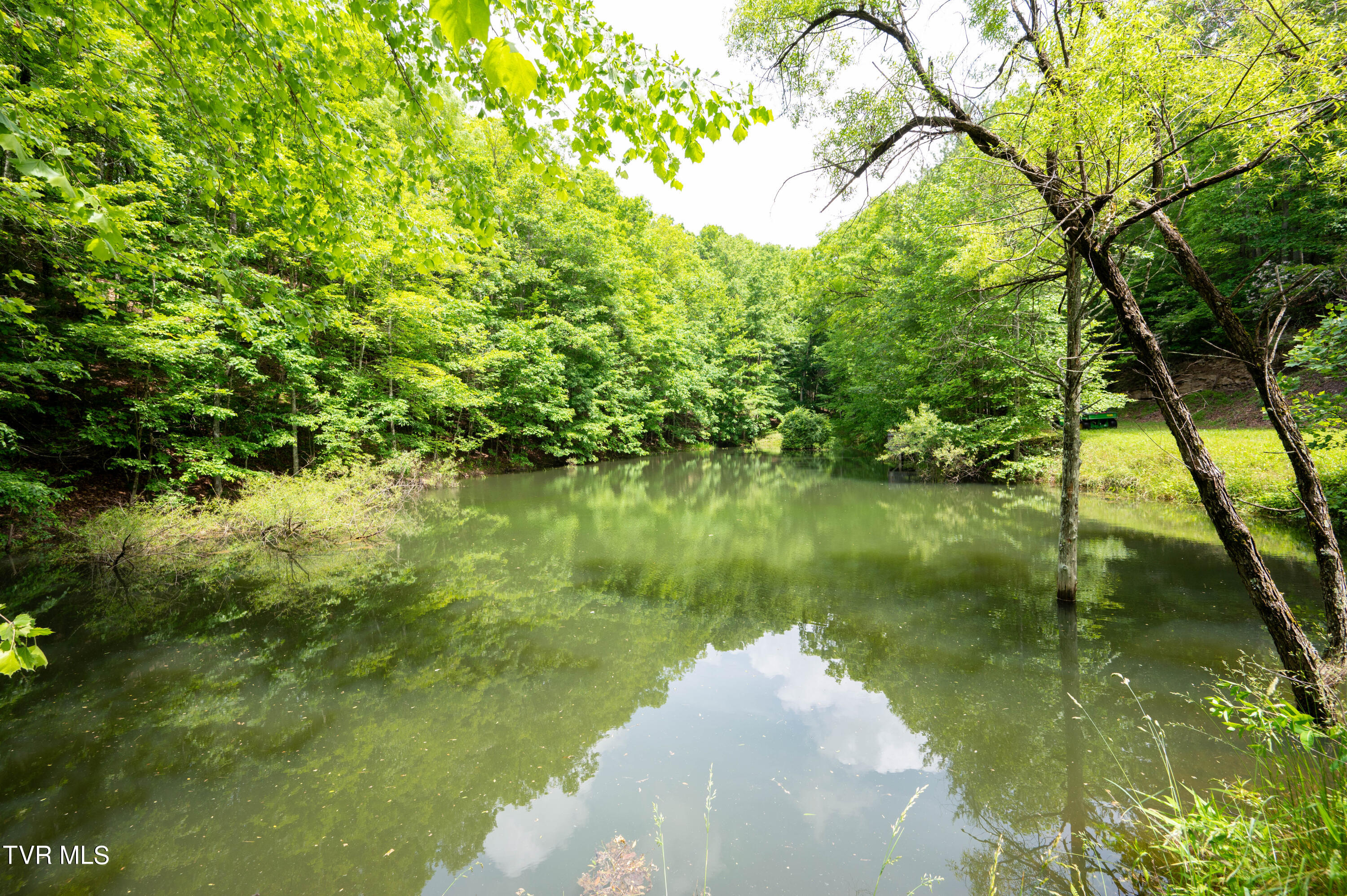 477 Turtle Trot Trail Duffield, VA 24244 - Photo 54 of 55 Turtle Trott Trail-25