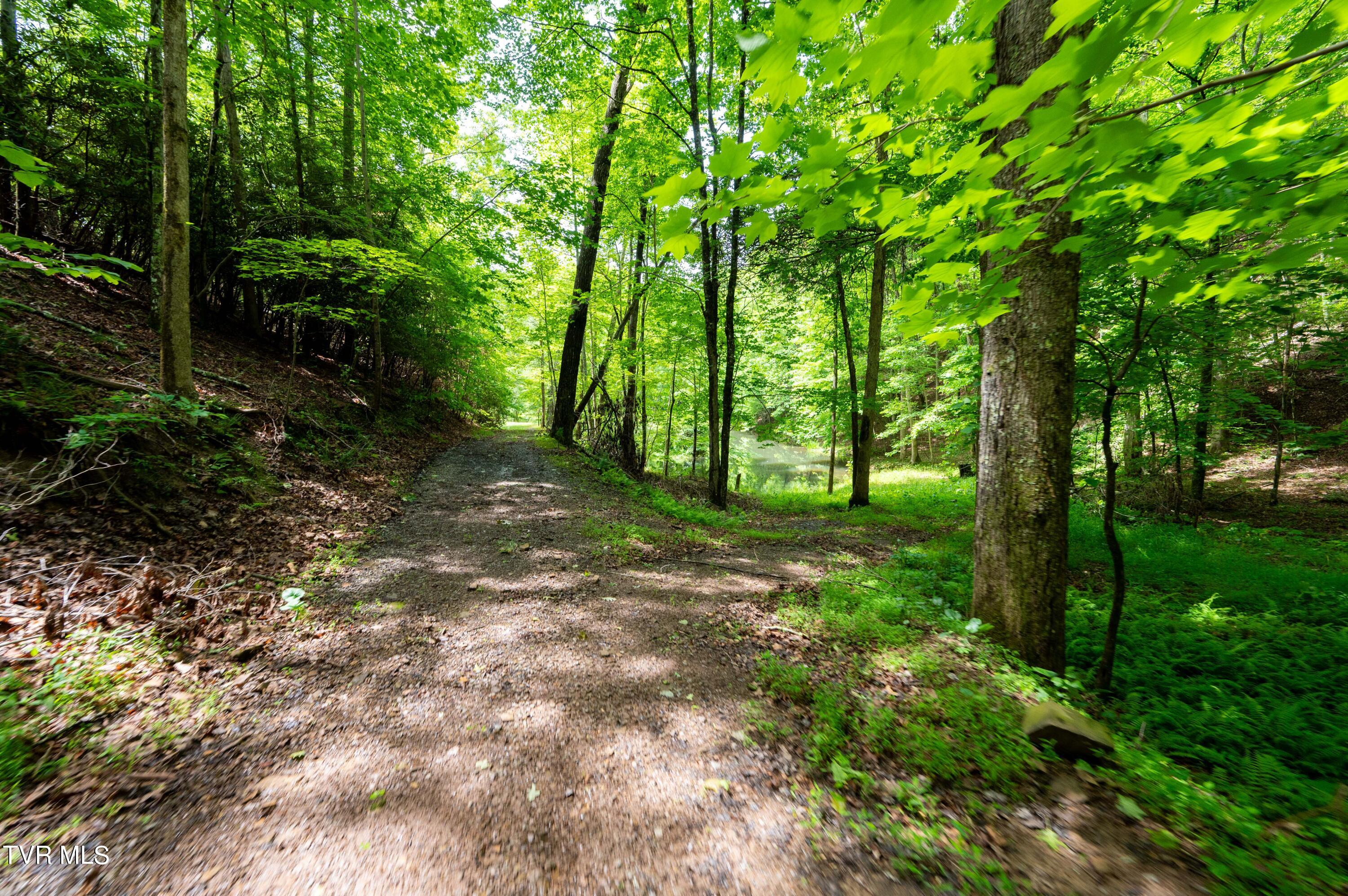 477 Turtle Trot Trail Duffield, VA 24244 - Photo 55 of 55 Turtle Trott Trail-26