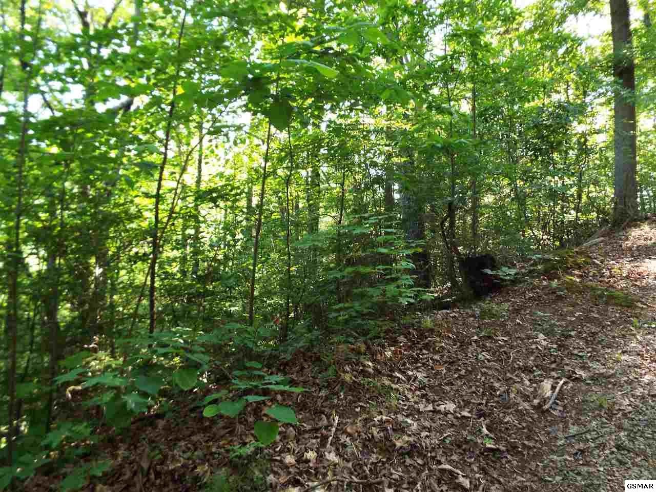0 Greasy Cove Road Cosby, TN 37722 - Photo 7 of 26 Gallery Image 7