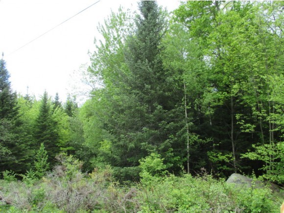 85 Sinclair Road Haverhill, NH 03774 - Photo 25 of 36