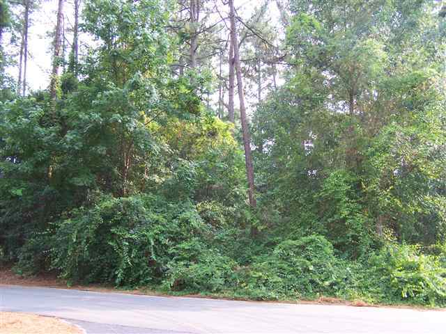Tbd Short Road Pinehurst, NC 28374 - Photo 1 of 1 Primary Photo