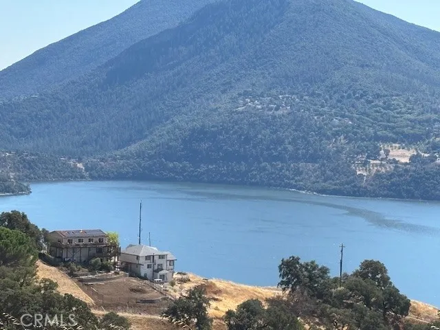 a view of a dry yard