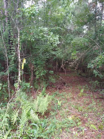 $17,000 | 0 Hilda Street, Gulfport, MS 39503