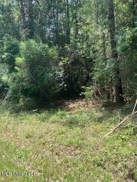 0 Hilda Street Gulfport, MS 39503 - Photo 14 of 14 IMG_2354 (1)