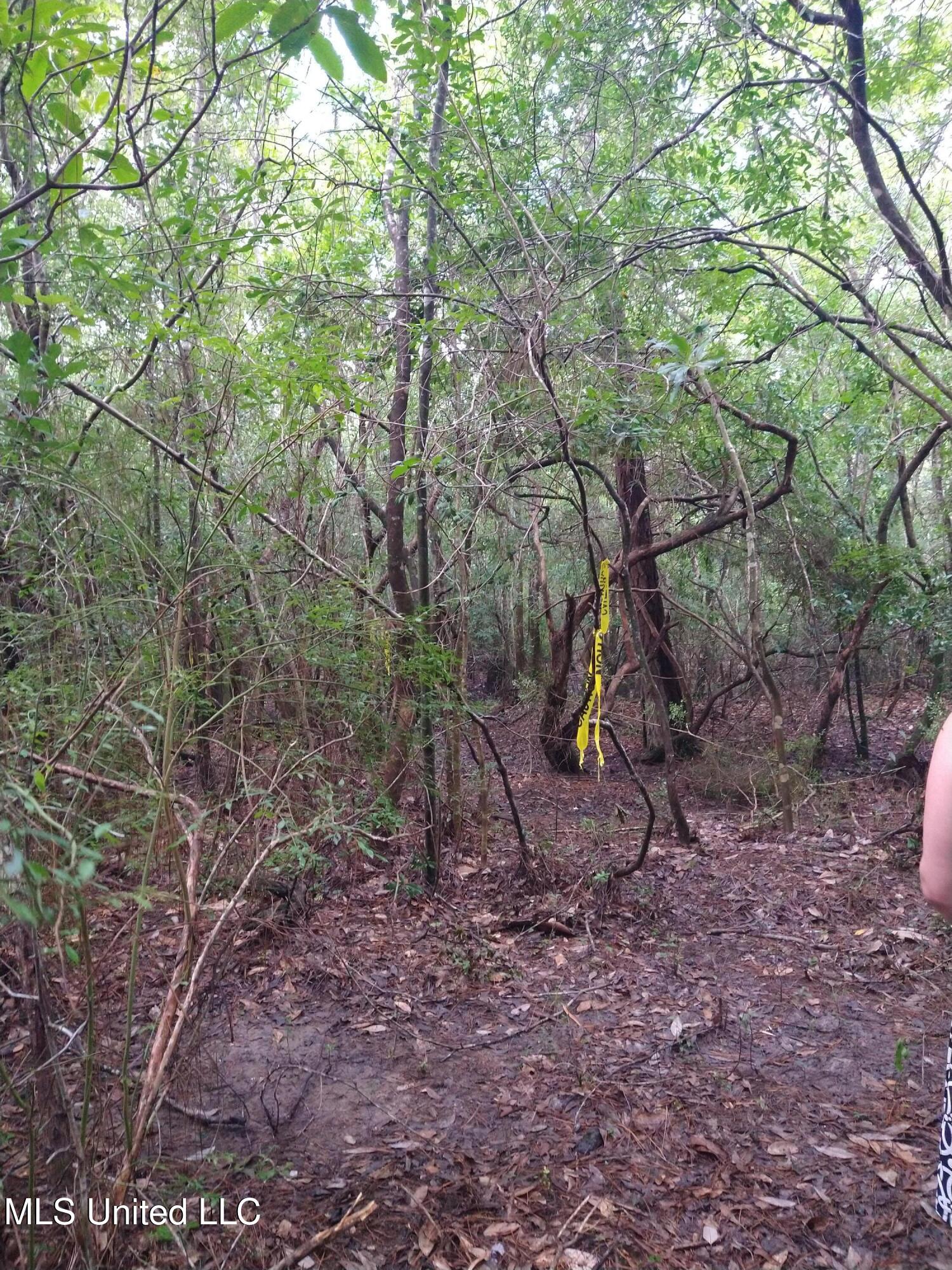 0 Hilda Street Gulfport, MS 39503 - Photo 6 of 14 IMG_20240708_164531598