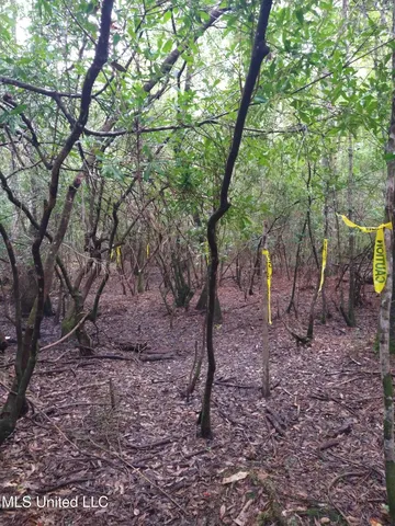 $17,000 | 0 Hilda Street, Gulfport, MS 39503