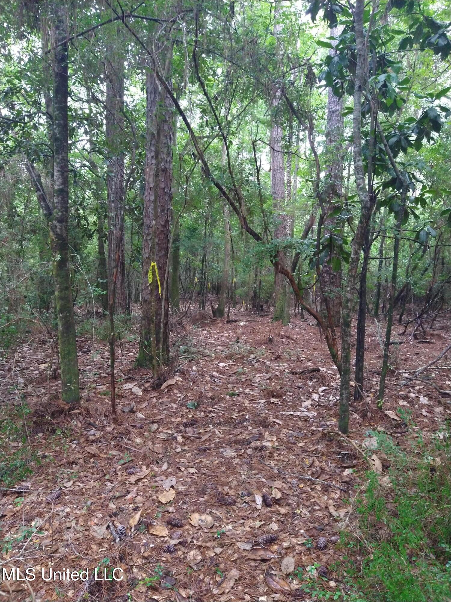 0 Hilda Street Gulfport, MS 39503 - Photo 10 of 14 IMG_20240708_164817217