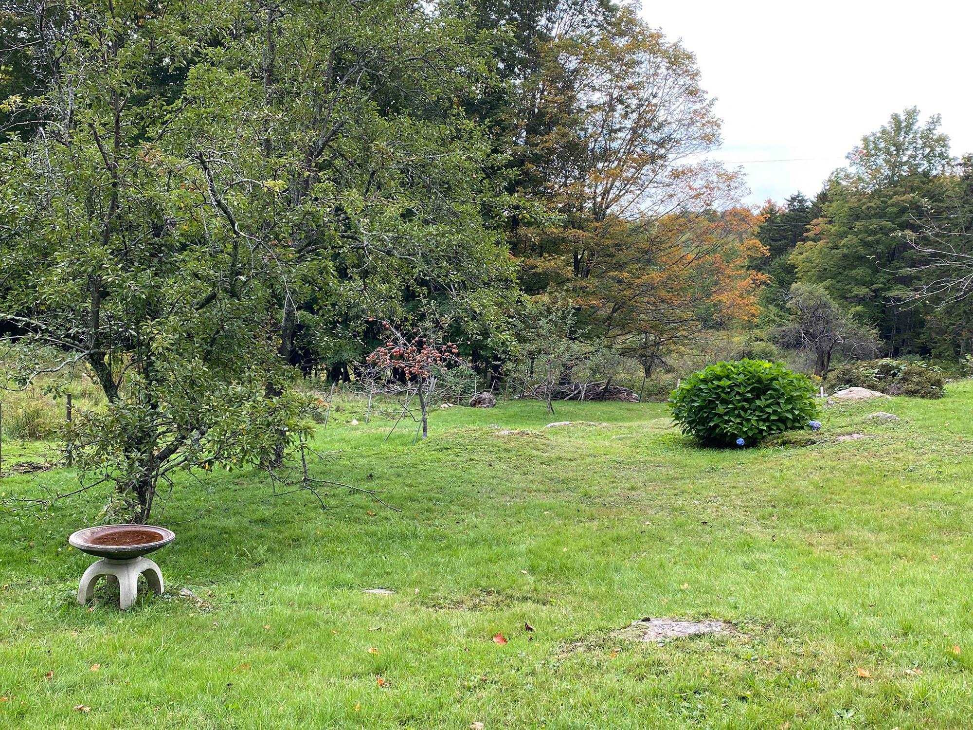 90 Holland Road Dover, VT 05341 - Photo 25 of 29