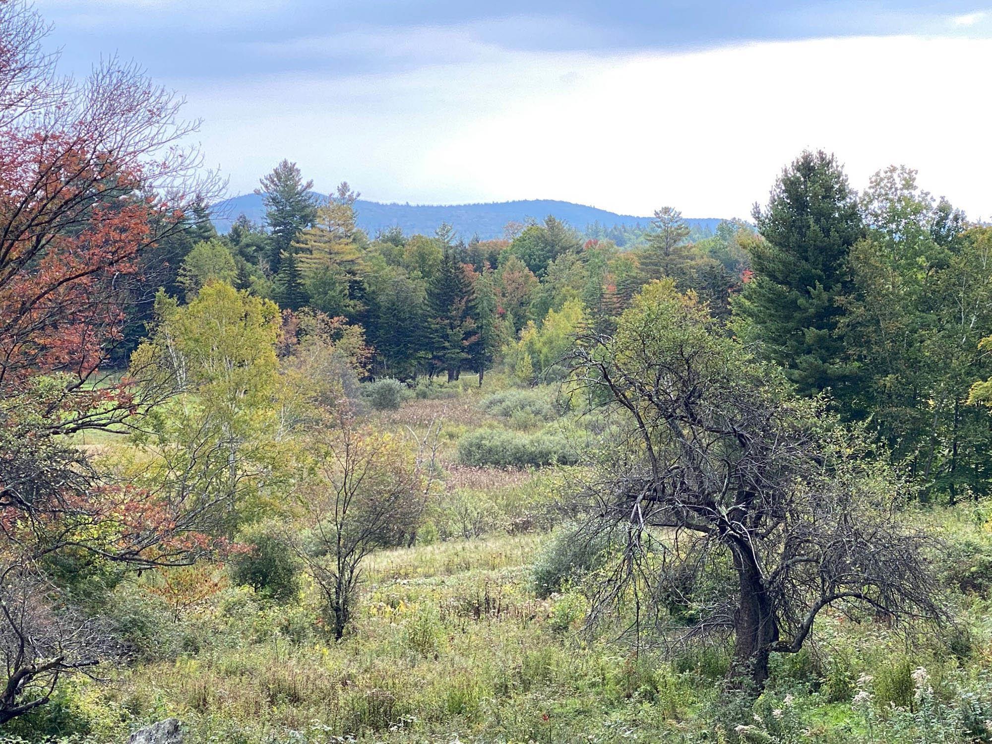 90 Holland Road Dover, VT 05341 - Photo 9 of 29